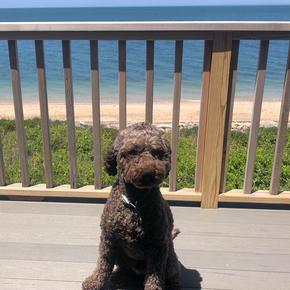 Meet your Posher, Rebecca